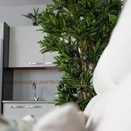 Apartment Trinidad