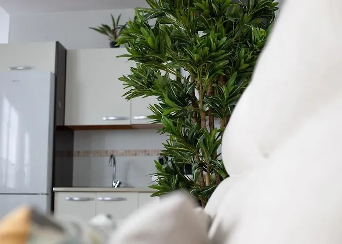 Apartment Trinidad